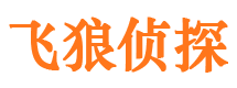 谷城婚外情调查取证